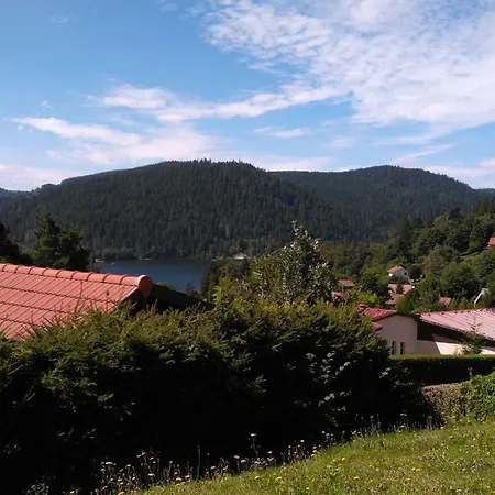 Esprit Myrtille Terrasse Vue * Gerardmer